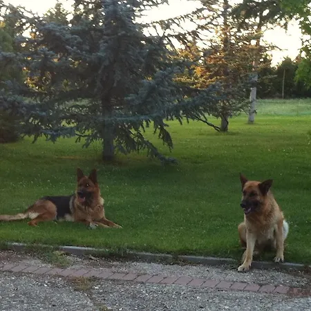 La Alberca * Palencia